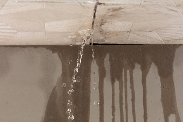 Professional Water Damage Restoration technician working in Farley, IA